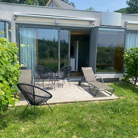 *Brandnew* Modernes Apartment In Den Weinbergen Mit Pool Und Sauna Шпільфельд Екстер'єр фото